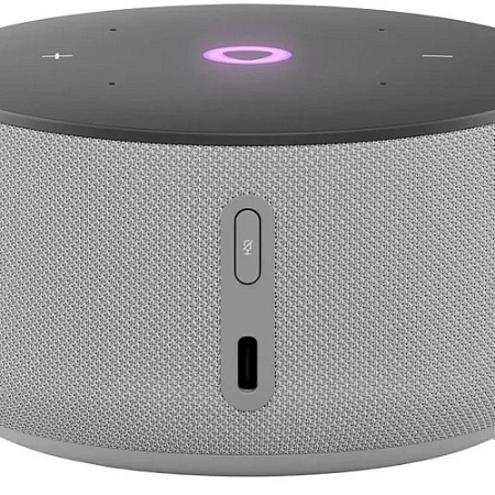 Умная колонка Яндекс Станция Мини 3 Серый (YNDX-00027GRY)